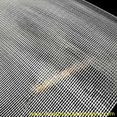 Food Grade PTFE Mesh Conveyor Belt with Chemical Resistance and Permeability for High Temperature Applications