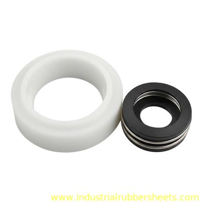 White or Black PTFE Oil Seal with SS304 or SS316 Insert Spring for Corrosion and High Temperature Resistance
